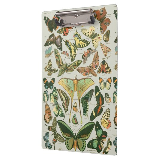 Vlinder  Antiek Vlinders Art Klembord (Links)