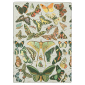 Vlinder  Antiek Vlinders Art Klembord (Achterkant)