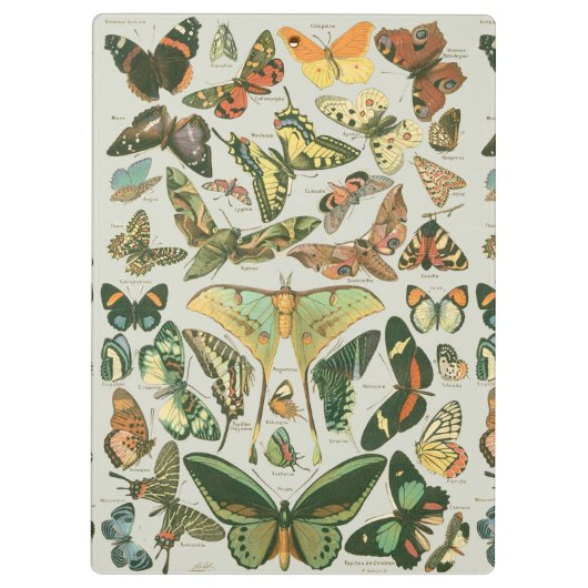 Vlinder Antiek Vlinders Art Klembord (Achterkant)