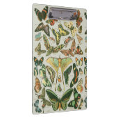 Vlinder  Antiek Vlinders Art Klembord (Rechts)