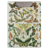 Vlinder  Antiek Vlinders Art Klembord (Voorkant)