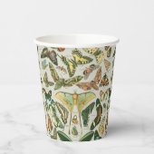 Vlinder  Antiek Vlinders Art Papieren Bekers (Links)