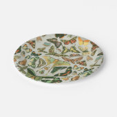 Vlinder  Antiek Vlinders Art Papieren Bordje (Gekanteld)