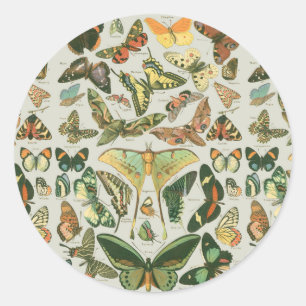 Vlinder Antiek Vlinders Art Ronde Sticker