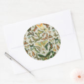 Vlinder  Antiek Vlinders Art Ronde Sticker (Envelop)