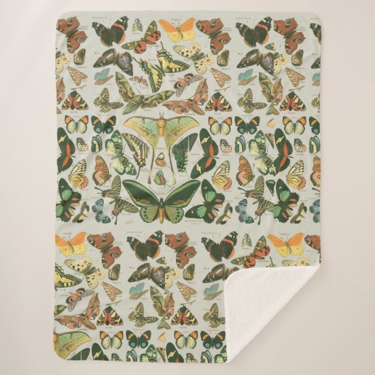 Vlinder  Antiek Vlinders Art Sherpa Deken (Voorkant)