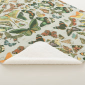 Vlinder  Antiek Vlinders Art Sherpa Deken (3/4)