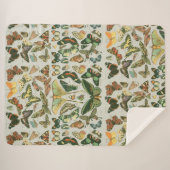 Vlinder  Antiek Vlinders Art Sherpa Deken (Voorkant (horizontaal))