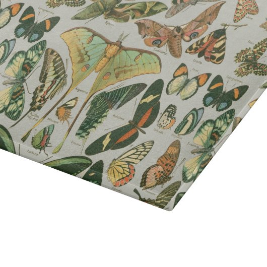 Vlinder  Antiek Vlinders Art Snijplank (Hoek)