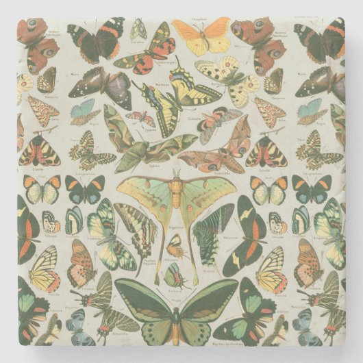 Vlinder  Antiek Vlinders Art Stenen Onderzetter (Voorkant)