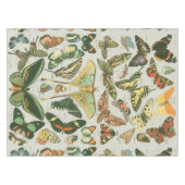 Vlinder  Antiek Vlinders Art Tafelkleed (Voorkant (Horizontaal))
