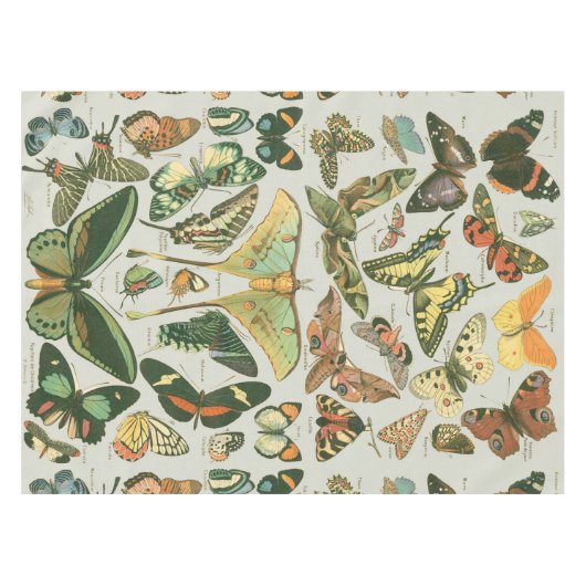 Vlinder Antiek Vlinders Art Tafelkleed (Voorkant (Horizontaal))