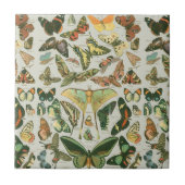 Vlinder  Antiek Vlinders Art Tegeltje (Voorkant)