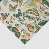 Vlinder  Antiek Vlinders Art Tissuepapier (Detail)
