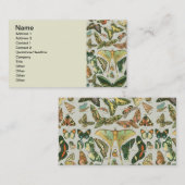 Vlinder Antiek Vlinders Art Visitekaartje (Voorkant / Achterkant)