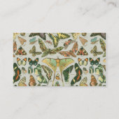 Vlinder Antiek Vlinders Art Visitekaartje (Achterkant)