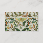 Vlinder  Antiek Vlinders Art Visitekaartje (Achterkant)