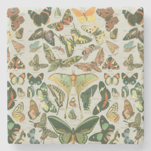 Vlinder  Antiek vlinders patroon Stenen Onderzetter
