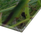 Vlinder bij de Rivier Decoratieve Snijplank (Hoek)
