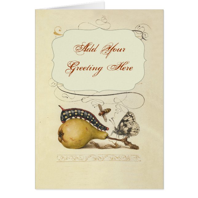 Vlinder Bij Fruit Insect Illustratie (Voorkant)