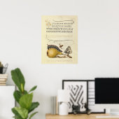 Vlinder Bij Fruit Insect Illustratie Poster (Thuiskantoor)