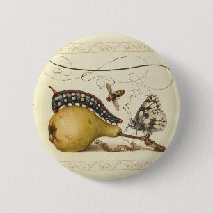 Vlinder Bij Fruit Insect Illustratie Ronde Button 5,7 Cm