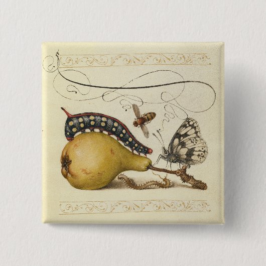 Vlinder Bij Fruit Insect Illustratie Vierkante Button 5,1 Cm (Voorkant)