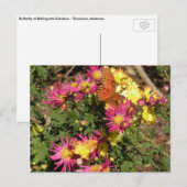 Vlinder bij Tuinen Bellingrath Briefkaart (Voorkant / Achterkant)