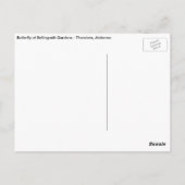 Vlinder bij Tuinen Bellingrath Briefkaart (Achterkant)