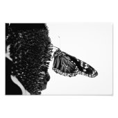 vlinder blacq foto afdruk (Voorkant)