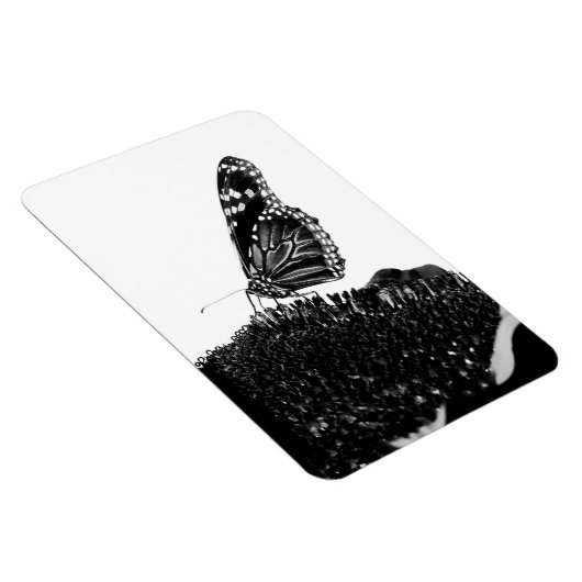 vlinder blacq magneet (Rechterzijde)