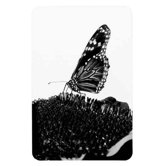 vlinder blacq magneet (Verticaal)