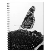 vlinder blacq notitieboek (Voorkant)