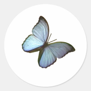 Vlinder Blauw 45 graden Freiburg Duitsland jGibney Ronde Sticker