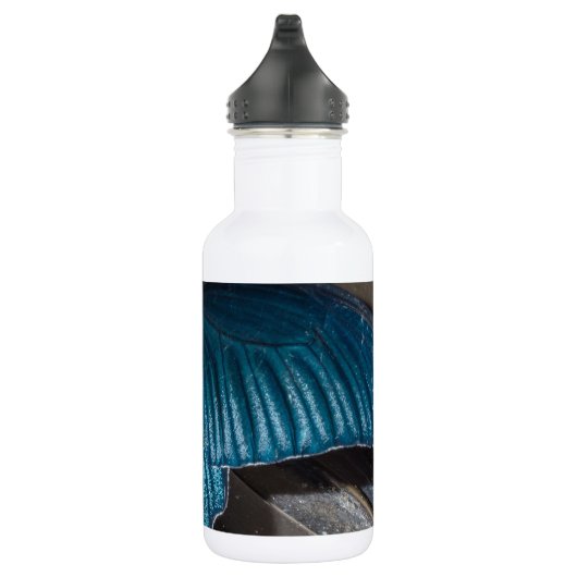 vlinder blauw insect die mooie vleugels vliegen waterfles  (Rechts)