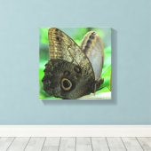 Vlinder Bloem Schilderij op Canvas Afdruk (Insitu (Houten vloer))