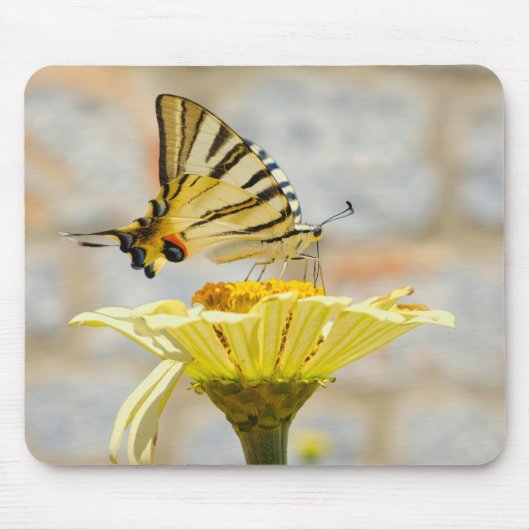 Vlinder, bloemen, natuur muismat (Voorkant)
