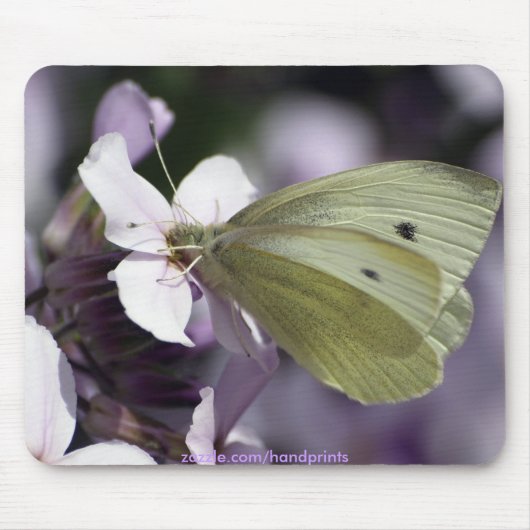 Vlinder & Bloemen Tuin-liefhebbers Mousepad Muismat (Voorkant)