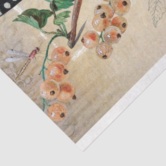  vlinder botanische ephemera ontkoppeling tissuepapier (Detail)