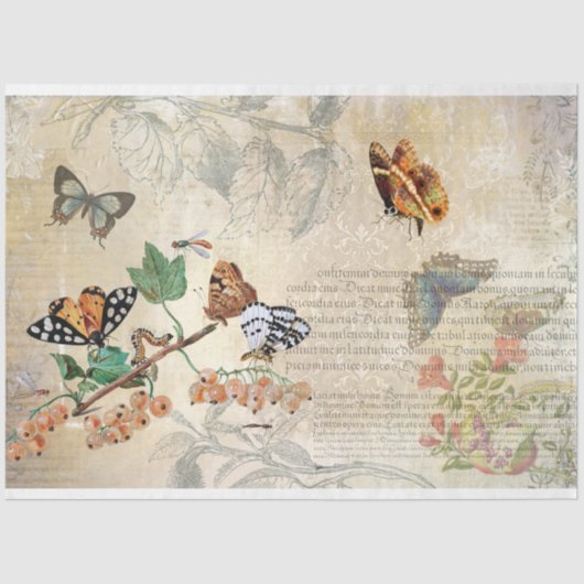 vlinder botanische ephemera ontkoppeling tissuepapier (Voorkant)