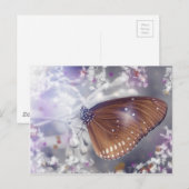 Vlinder Briefkaart (Voorkant / Achterkant)