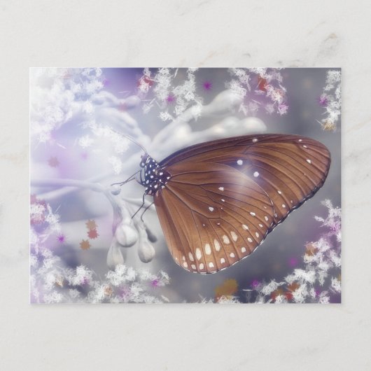 Vlinder Briefkaart (Voorkant)