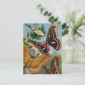 vlinder briefkaart (Staand voorkant)