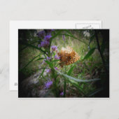 vlinder briefkaart (Voorkant / Achterkant)