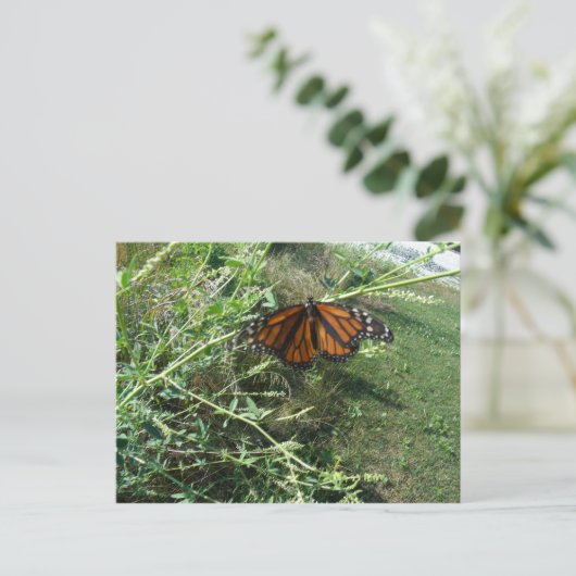 Vlinder Briefkaart (Staand voorkant)