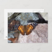 Vlinder Briefkaart (Voorkant / Achterkant)