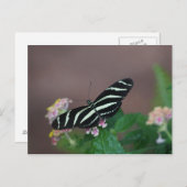 vlinder briefkaart (Voorkant / Achterkant)