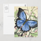 Vlinder Briefkaart (Voorkant / Achterkant)