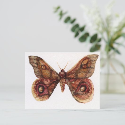 Vlinder Briefkaart (Staand voorkant)