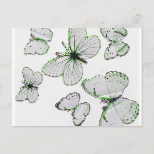 vlinder Briefkaart (Voorkant)